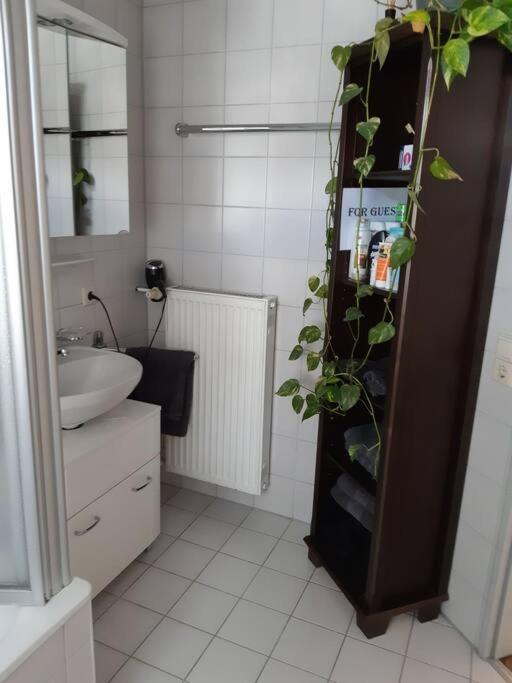 Tolle Wohnung In Zentraler Lage In Новый-Ульм Экстерьер фото